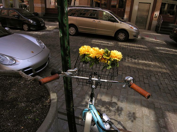 Jochen Brennecke Photography flowers the last day in August New York
