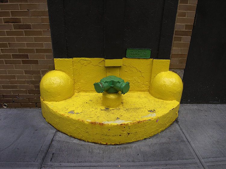 Jochen Brennecke Photography little green big yellow New York