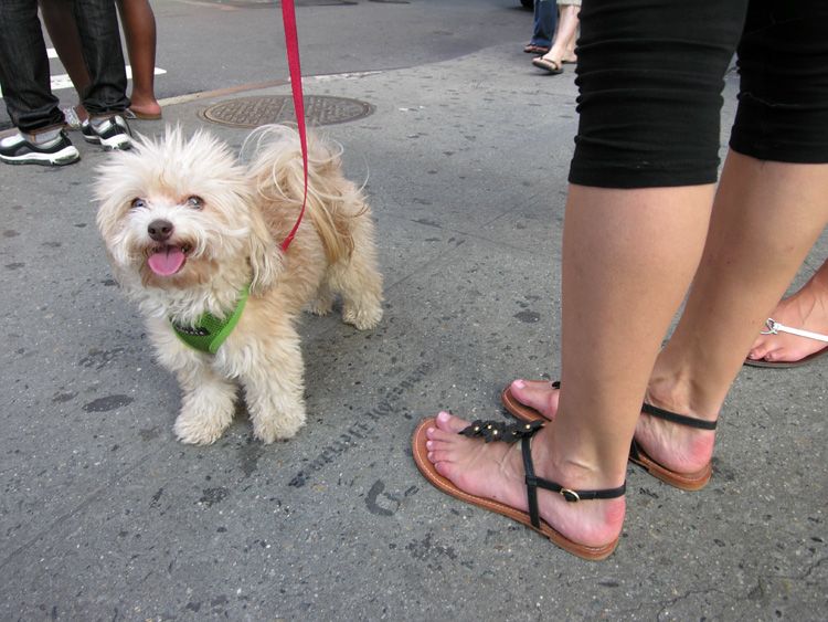 Jochen Brennecke Photography ultra cute New York