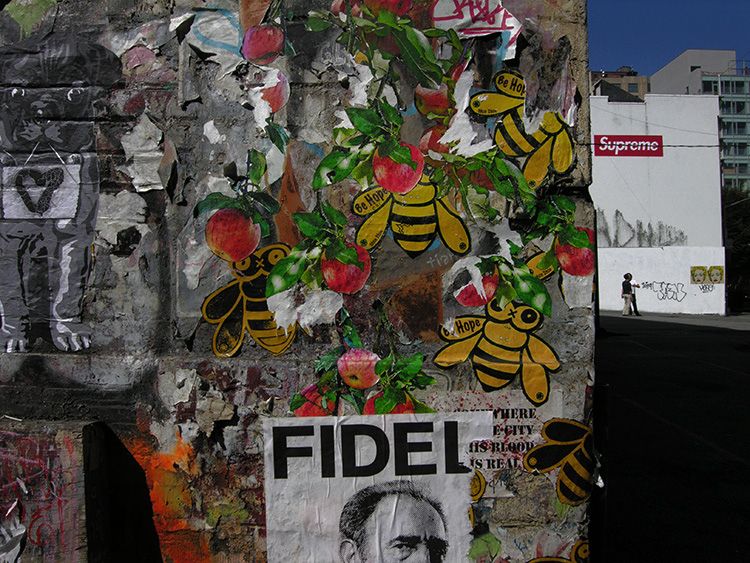 Jochen Brennecke Photography bee hope New York