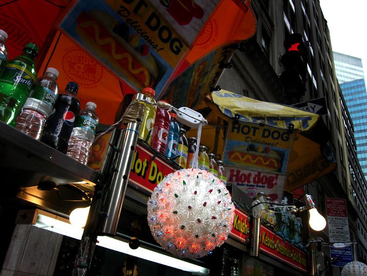 Jochen Brennecke Photography dog xmas New York