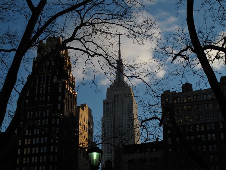 Jochen Brennecke Photography branching view New York