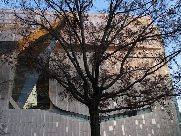 Jochen Brennecke Photography fall architecture New York