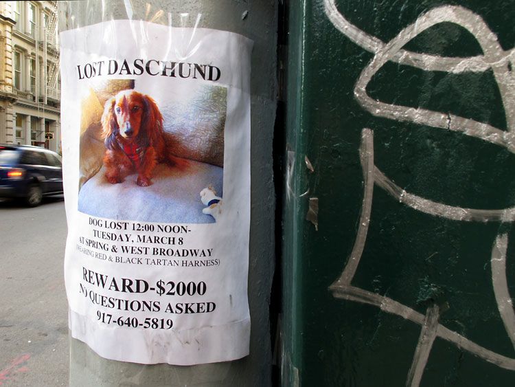 Jochen Brennecke Photography lost found New York