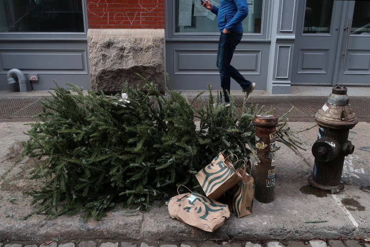 Jochen Brennecke Photography oh no tannenbaum New York