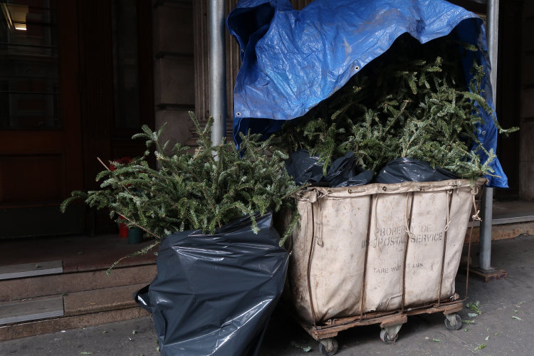 Jochen Brennecke Photography O tannenbaum New York