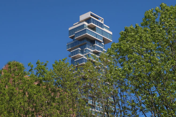 Jochen Brennecke Photography unnatural growth New York