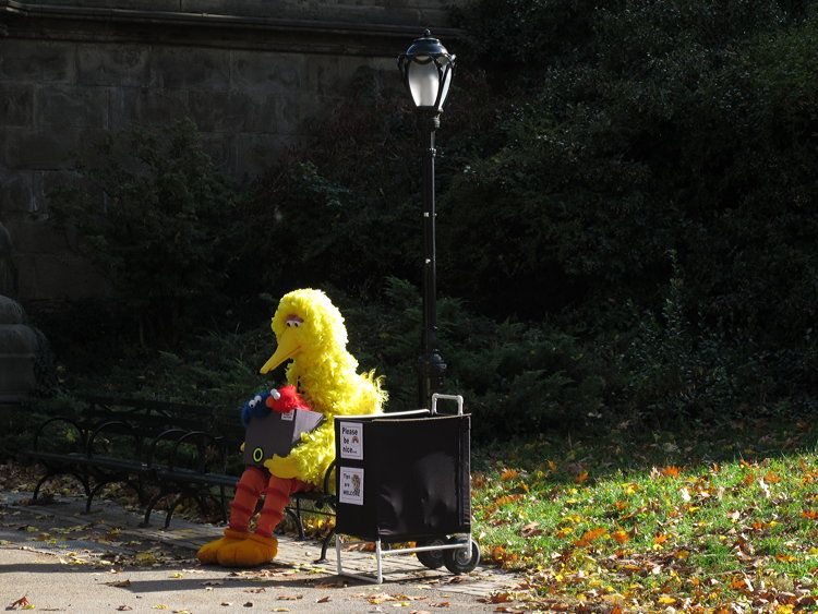 Jochen Brennecke Photography fall colors New York