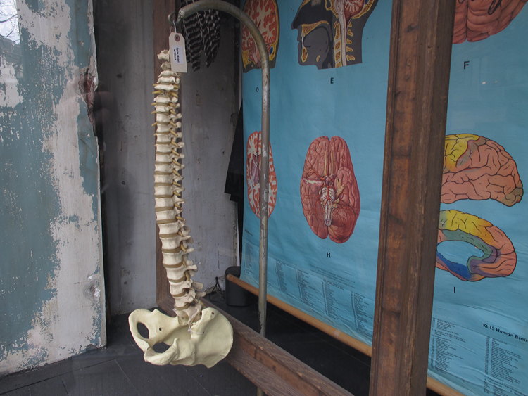 Jochen Brennecke Photography our doctors New York