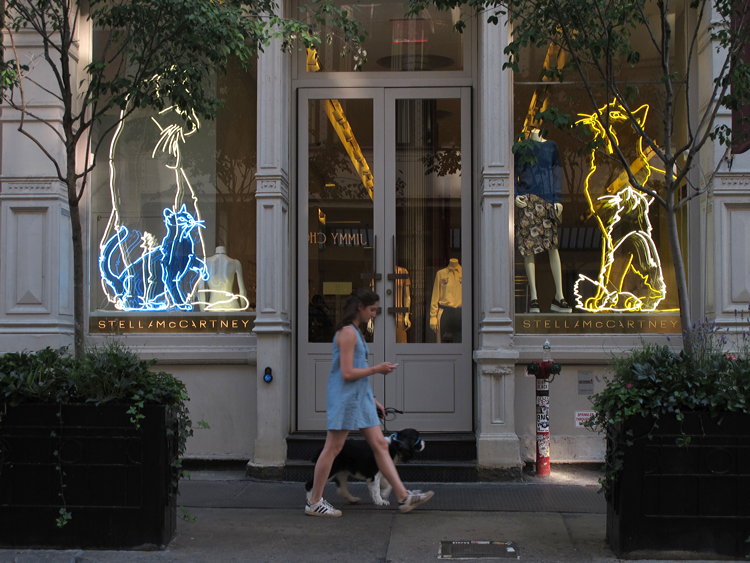 Jochen Brennecke Photography cat dog New York