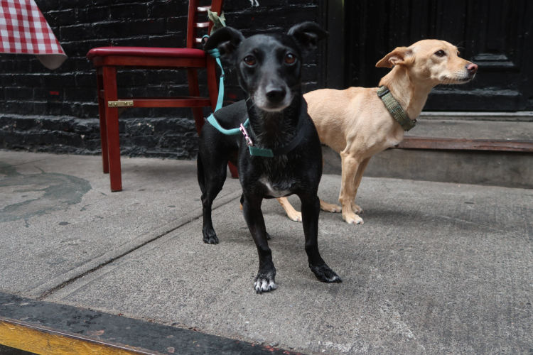 Jochen Brennecke Photography so what New York