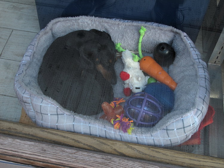 Jochen Brennecke Photography sorry not for sale New York