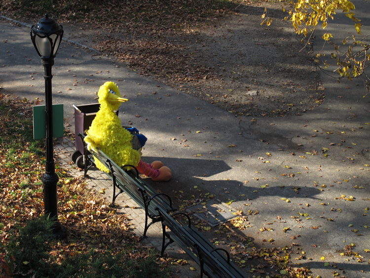 Jochen Brennecke Photography blind date New York