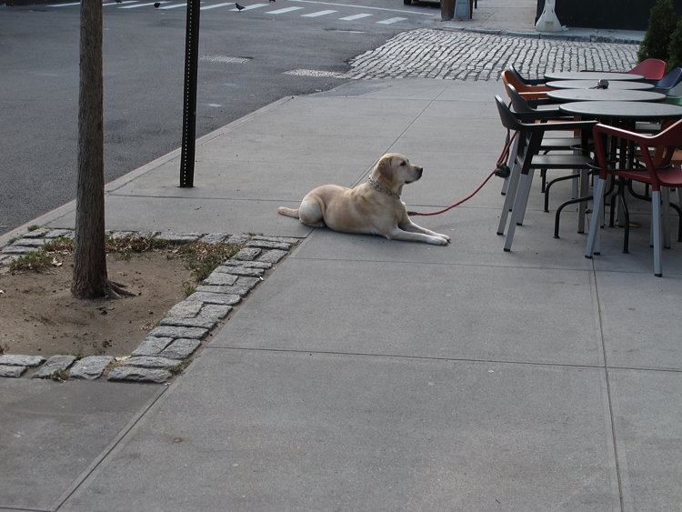 Jochen Brennecke Photography hurry up New York