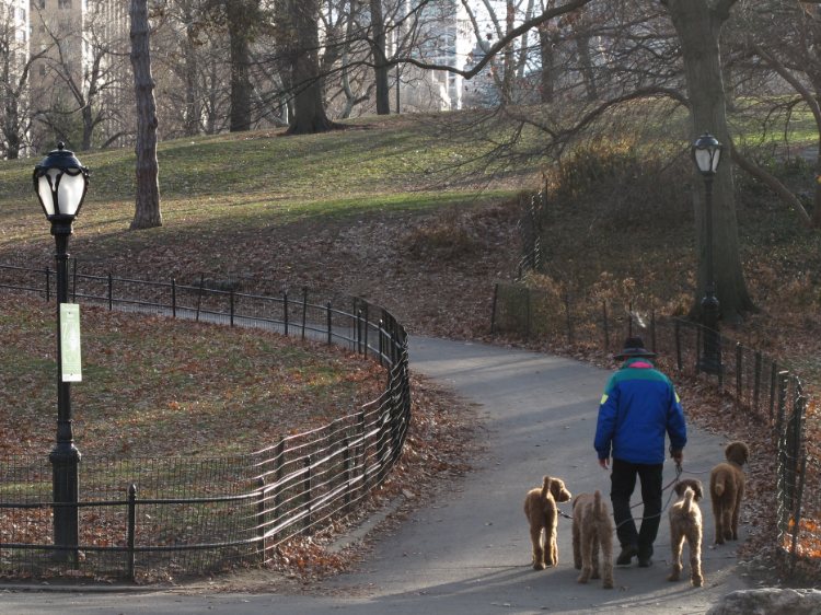 Jochen Brennecke Photography four by one New York