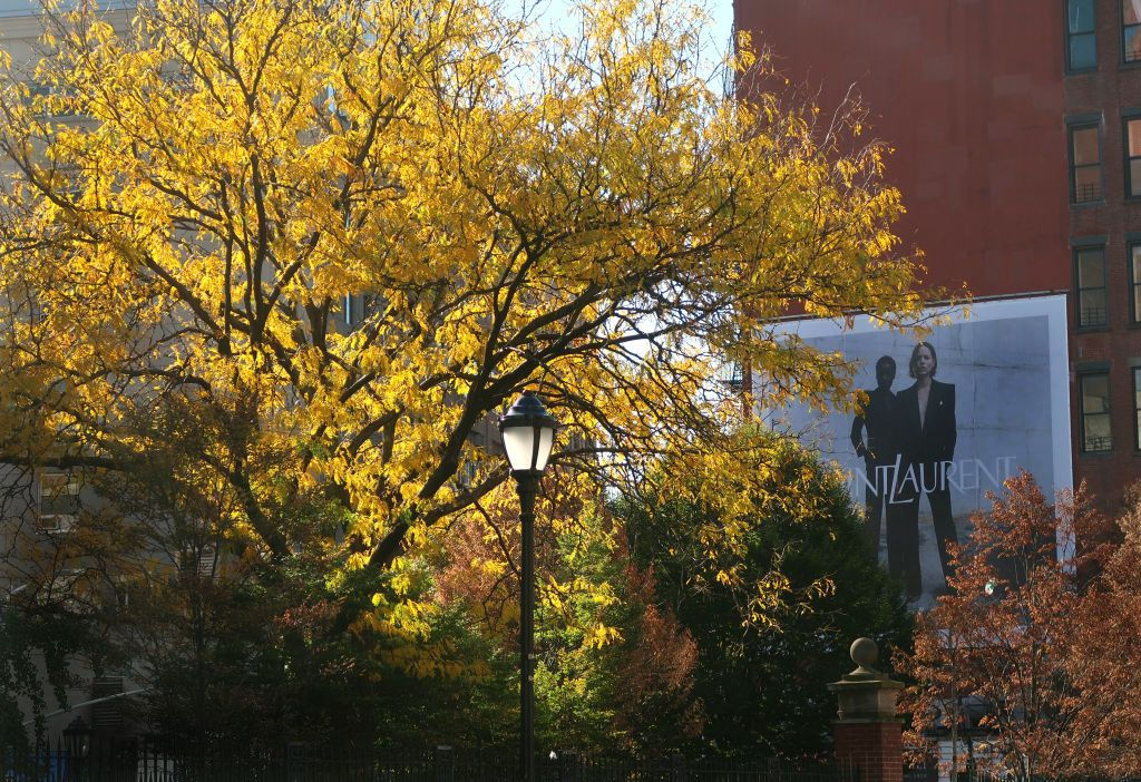 Jochen Brennecke Photography color fall New York