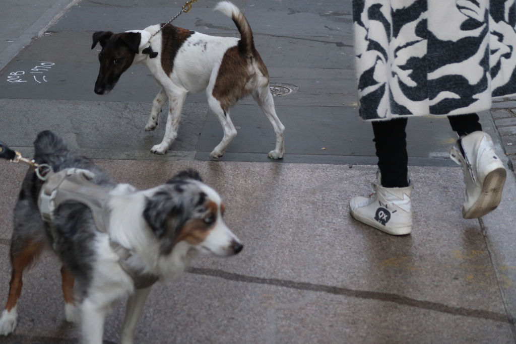 Jochen Brennecke Photography moving pattern New York