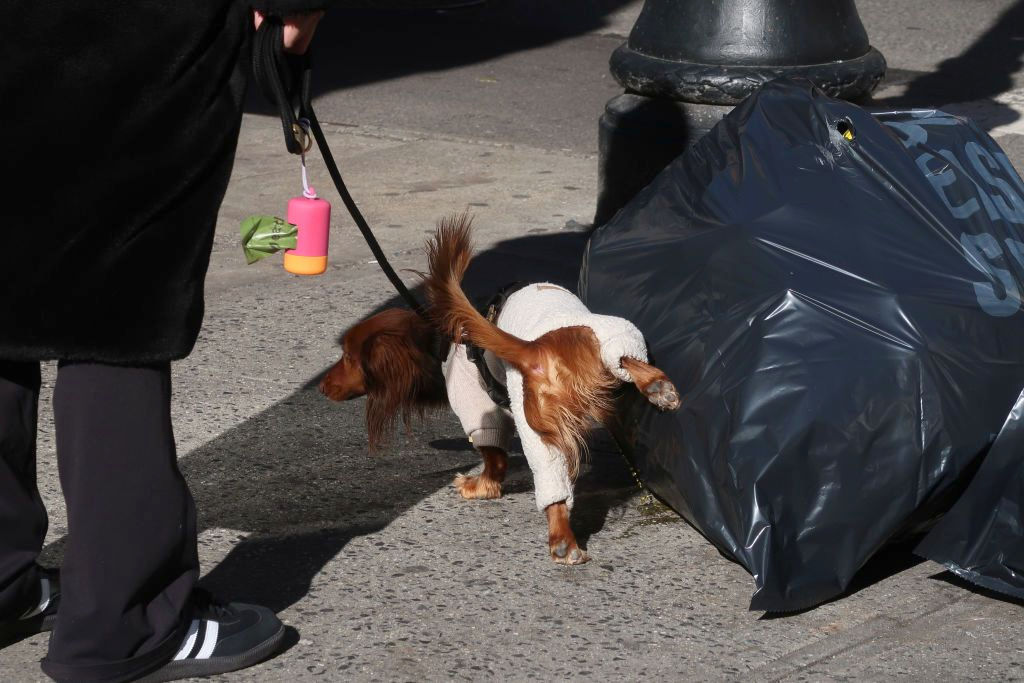 Jochen Brennecke Photography going out New York