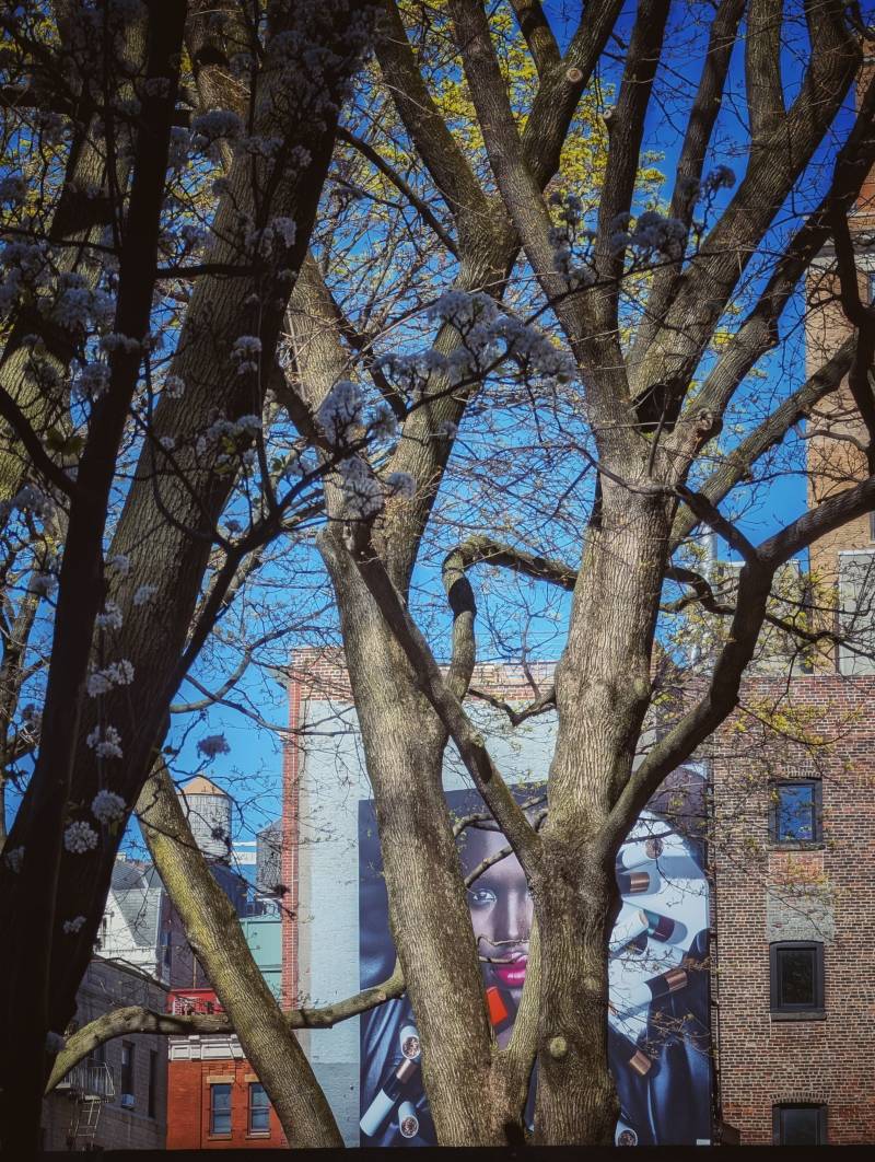 Jochen Brennecke Photography tree face New York