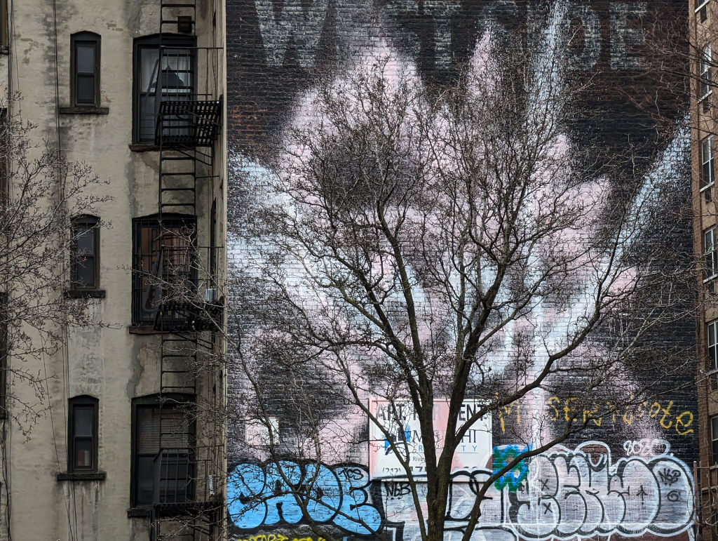Jochen Brennecke Photography tree canvas New York