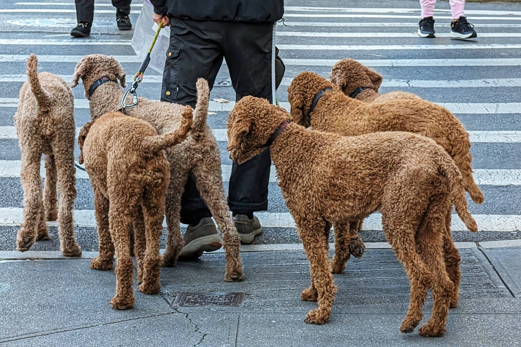 Jochen Brennecke Photography six pack New York