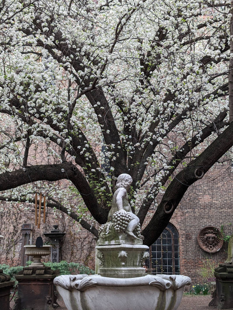 Jochen Brennecke Photography blossom now New York